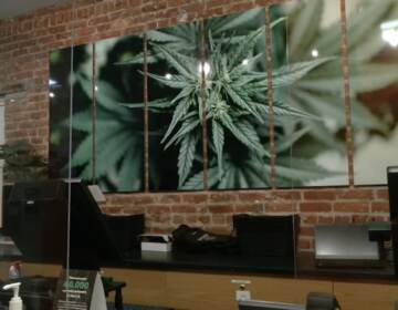 Marijuana dispensary.