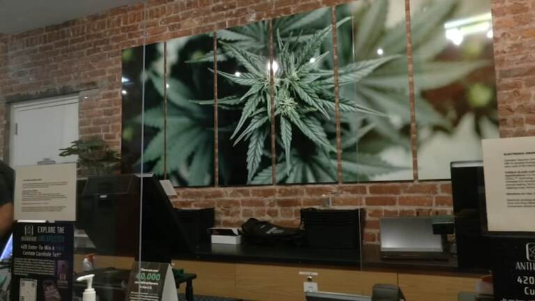 Marijuana dispensary.