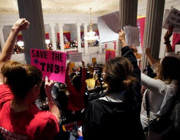 Gun reform and ''Tennessee Three'' supporters raise signs in the gallery of the House chamber Thursday, April 6, 2023, in Nashville