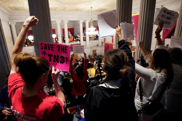 Gun reform and ''Tennessee Three'' supporters raise signs in the gallery of the House chamber Thursday, April 6, 2023, in Nashville