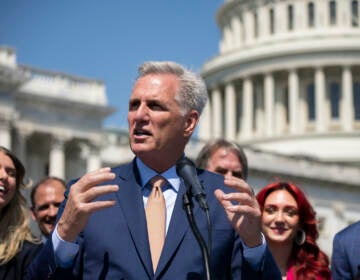 Speaker of the House Kevin McCarthy, R-Calif.