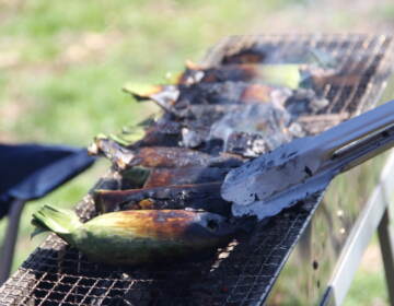 Ears of corn cook on the grill at the Southeast Asian Market