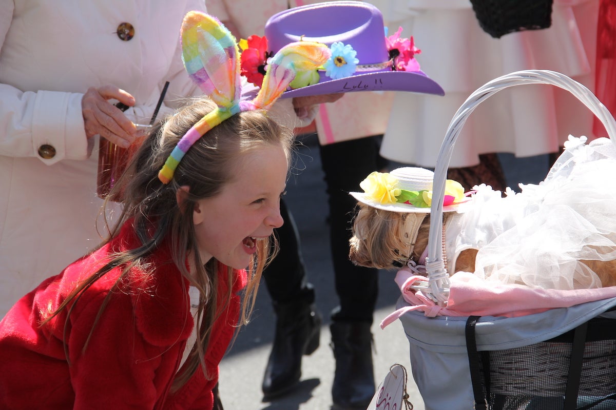 Everyone on South Street embraced the Easter spirit, including the little pooches