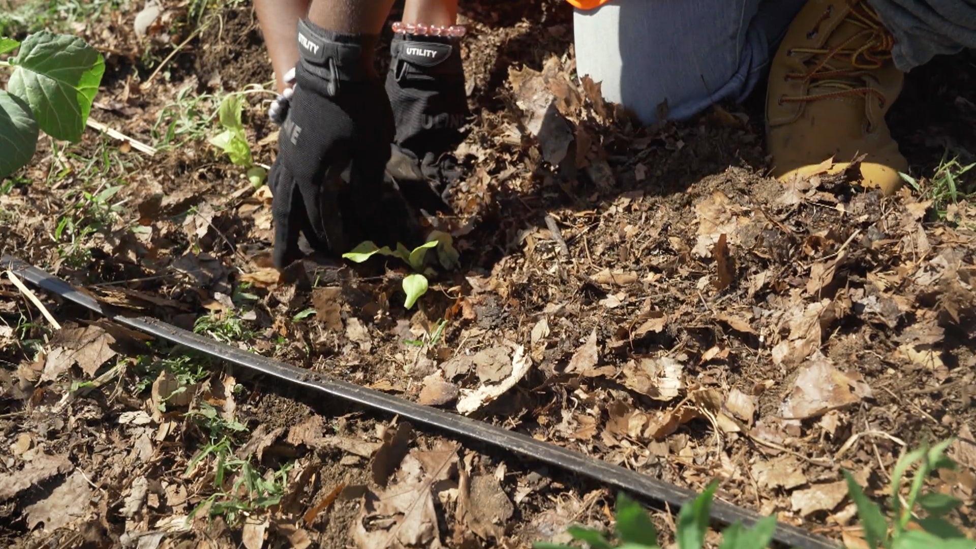 City of Soil A Look at Philadelphia’s Urban Agriculture WHYY