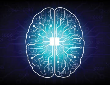 Circuit board brain