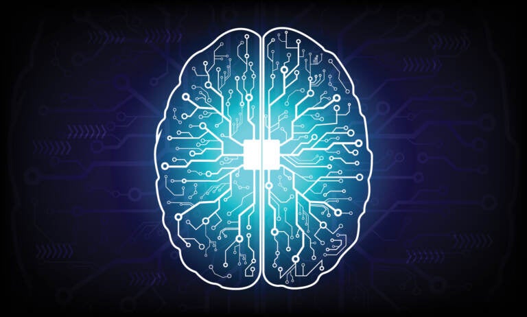 Circuit board brain