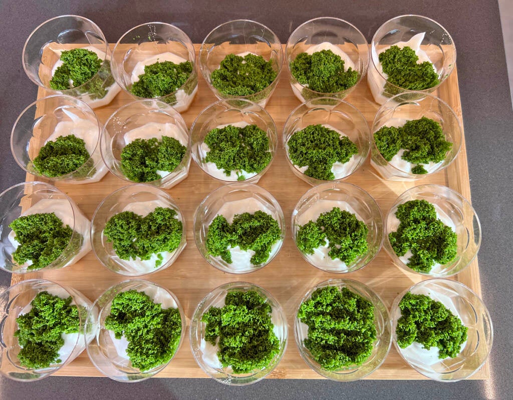 An aerial view of duckweed being grown in containers.