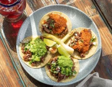 An overhead view of tacos arranged on a plate.