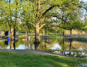 Flooding is visible in an area where there are benches under trees.