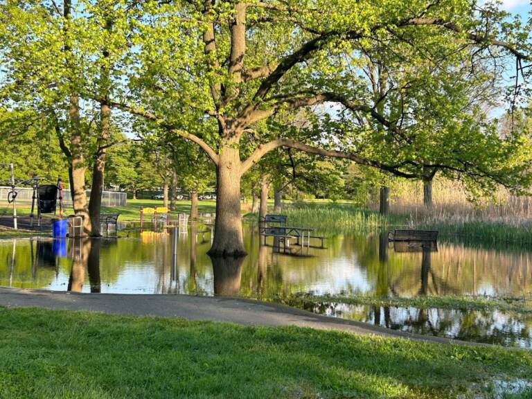 Flooding is visible in an area where there are benches under trees.