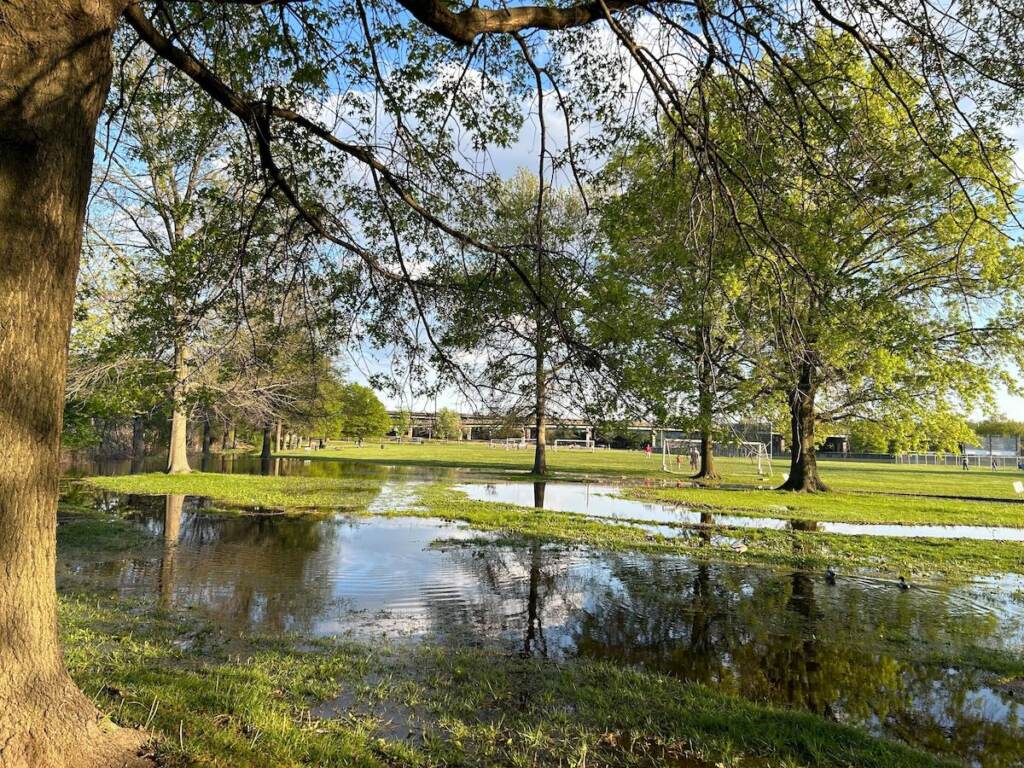 Flooding extends through a walking path, surrounding several trees.