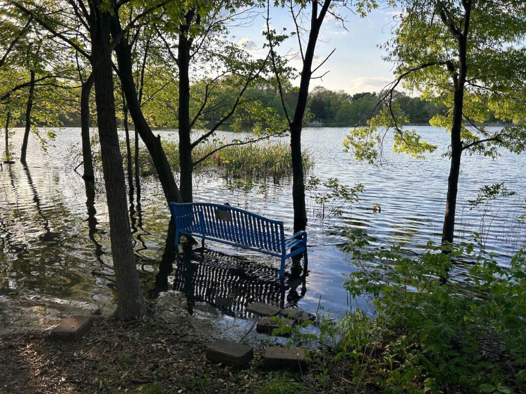 Water is visible underneath a bench that is meant to be on dry land at the edge of a pond.