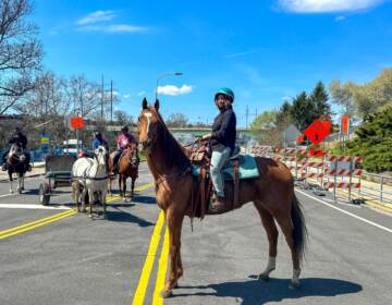 person riding a horse on MLK Drive