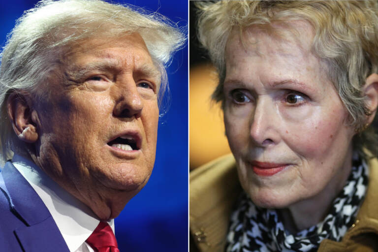 side by side photos of Donald Trump and E. Jean Carroll.