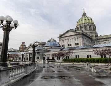 The Capitol Building in Harrisburg, Pa. (Kimberly Paynter/WHYY)