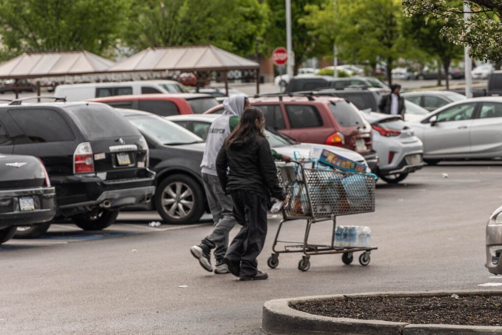 Customers push a shopping cart in a parking lot.