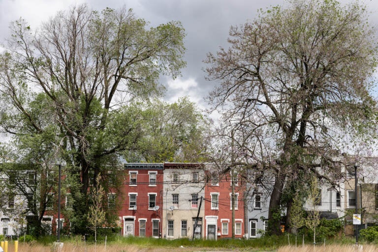 Homes in Philadelphia’s Sharswood neighborhood. (Kimberly Paynter/WHYY)