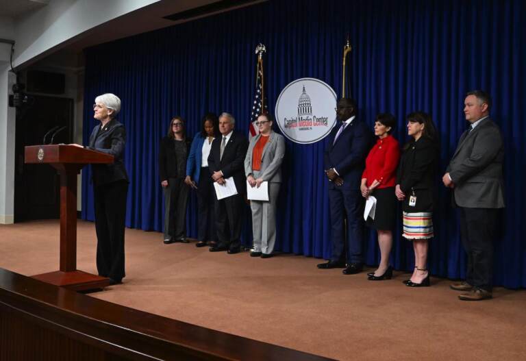 State Sen. Carloyn Comitta stands at a podium as other lawmakers and officials look on from behind her.