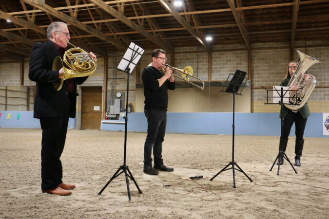 Philadelphia Orchestra serenades therapy horses - WHYY