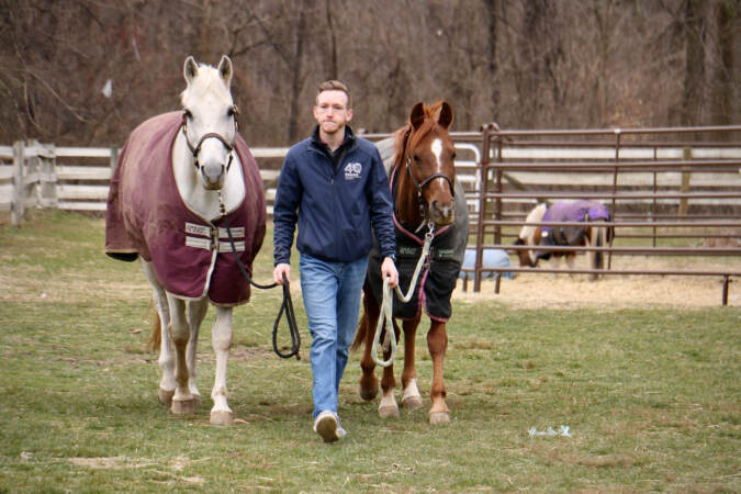 Ryan French walks with two horses across a field.