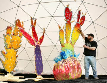 Matty Geez poses for a photo next to his colorful cacti creations.