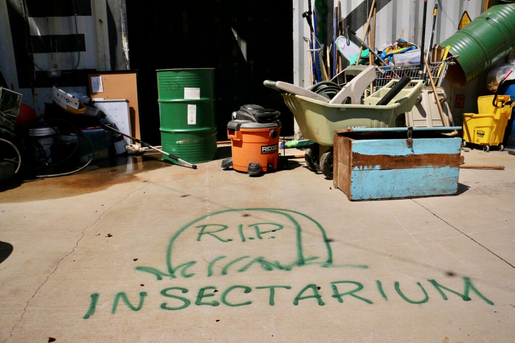 Graffiti written on the ground outside a building reads "R.I.P. Insectarium."