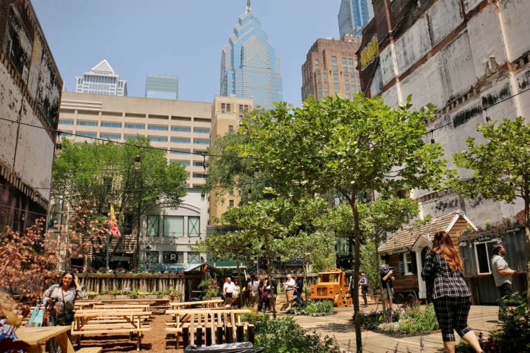 A view of Walnut Garden on a sunny day.