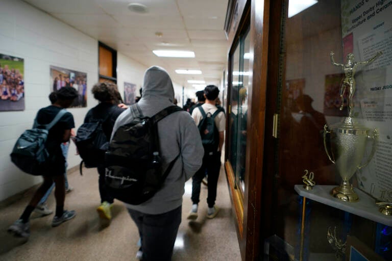 Students walking in the hall at school.