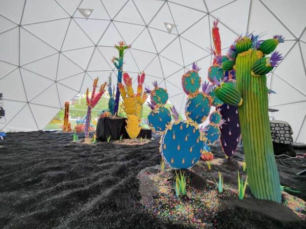 Colorful cacti creations.