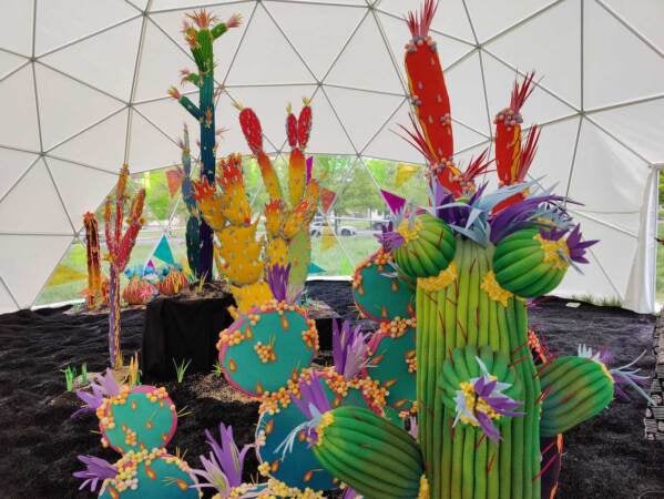 A close-up of colorful cacti creations.