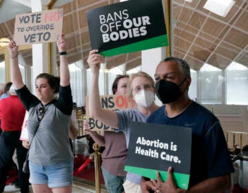 abortion rights supporters protesting