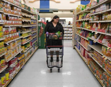 Jaqueline Benitez pushes her cart down an aisle as she shops for groceries.
