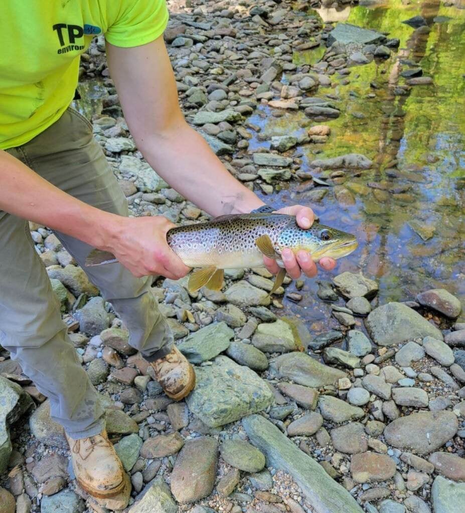 A person holds a dead fish in their hands.