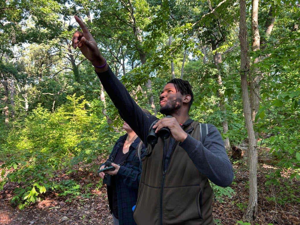 Tykee James spots something moving high in the canopy. ''Pros and cons of being in here,'' he says. ''It's very dense, so it's really great migratory stopover habitat. But ... you're going to hear more than you see.'' 