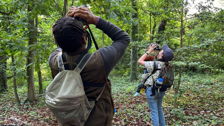 Tykee James, president of the DC Audubon Society, and Erin Connelly, holding her 10-month-old son, Louis, search in the treetops in Fort Slocum Park in Washington, D.C.