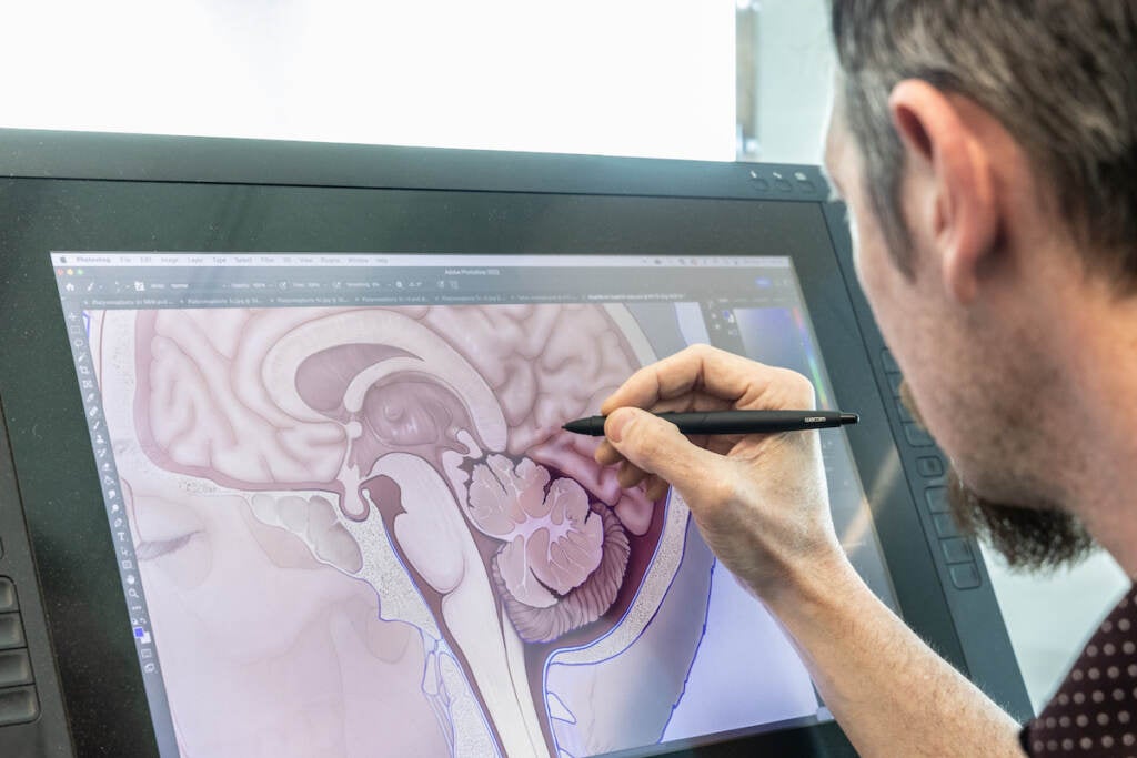 medical illustration software free download