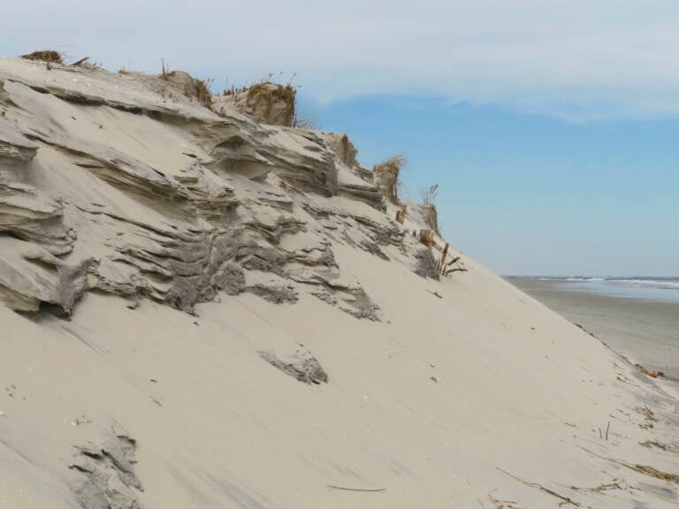 A dune at the beach