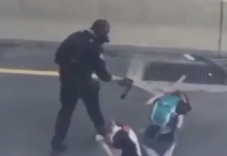 police officer pepper spraying a protester