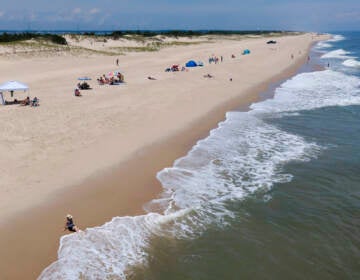 The beach at Rehoboth Beach, Del.