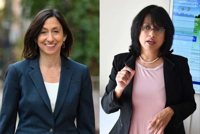 Rue Landau, left, and Nina Ahmad, right, were among the top vote-getters on the Democratic side.