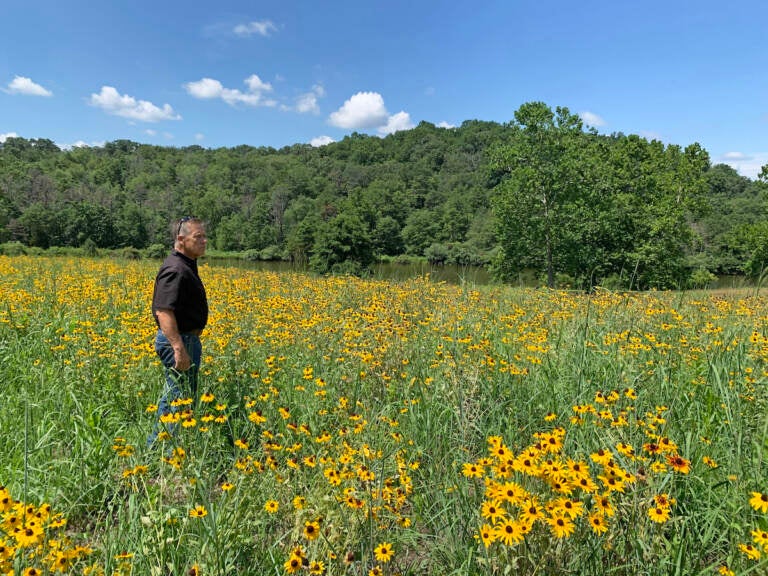 Owen Prusack stands in a field of wildflowers on a sunny day.