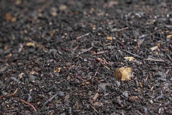 Close-up of works at Bennet compost.