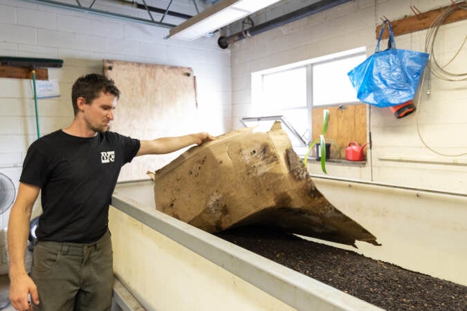 Devin Green shows worms working hard to make food scraps into compost.