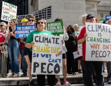 Multiple protesters holding signs about climate change and PECO.