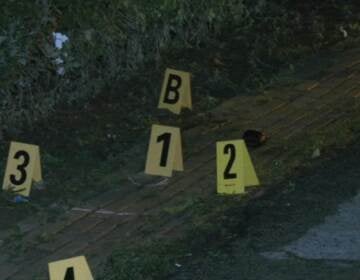 Evidence markers at the crime scene in Fairmount Park.