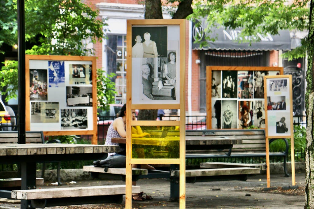 Different boards displaying photos are displayed in a park.