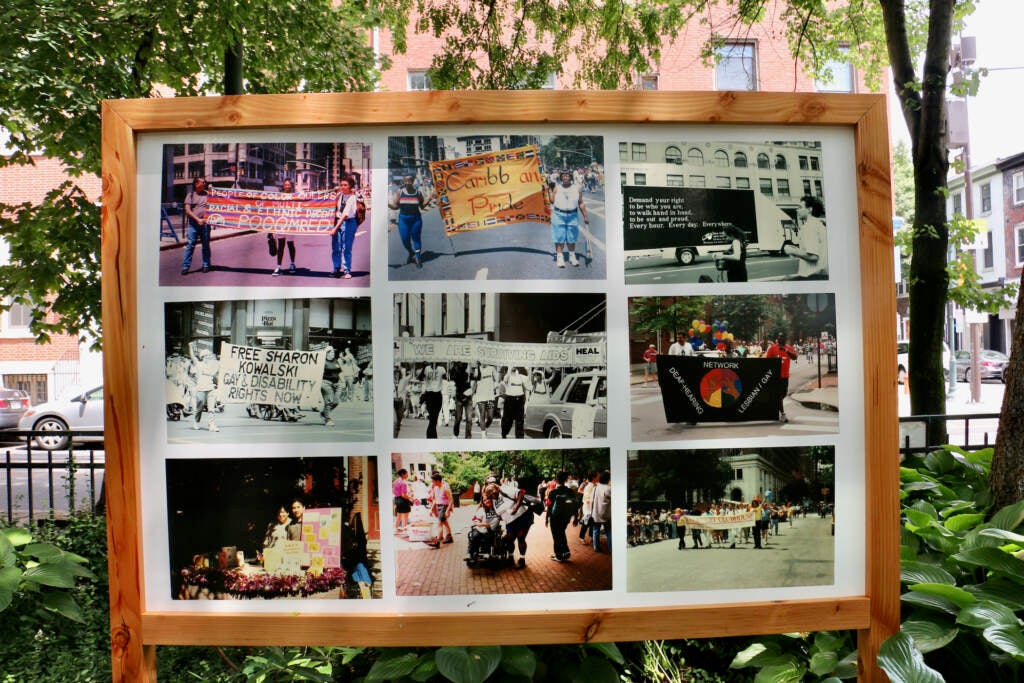 A board of photographs is displayed in a park.