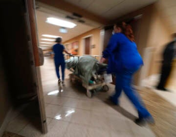 Medical staff move a COVID-19 patient who died to a loading dock to hand off to a funeral home van, at the Willis-Knighton Medical Center in Shreveport, La., Wednesday, Aug. 18, 2021. (AP Photo/Gerald Herbert)