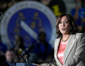 Vice President Kamala Harris speaks about gun violence during a visit to John Lewis High School in Springfield, Va., Friday, June 2, 2023, on Gun Violence Awareness Day