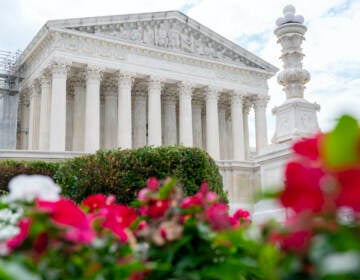 Supreme Court, seen behind flowers